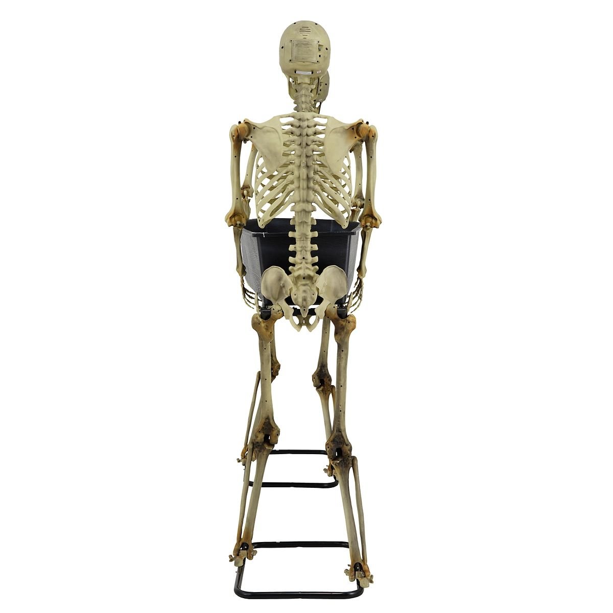 5 Ft LED Skeletons with Coffin - Image 4